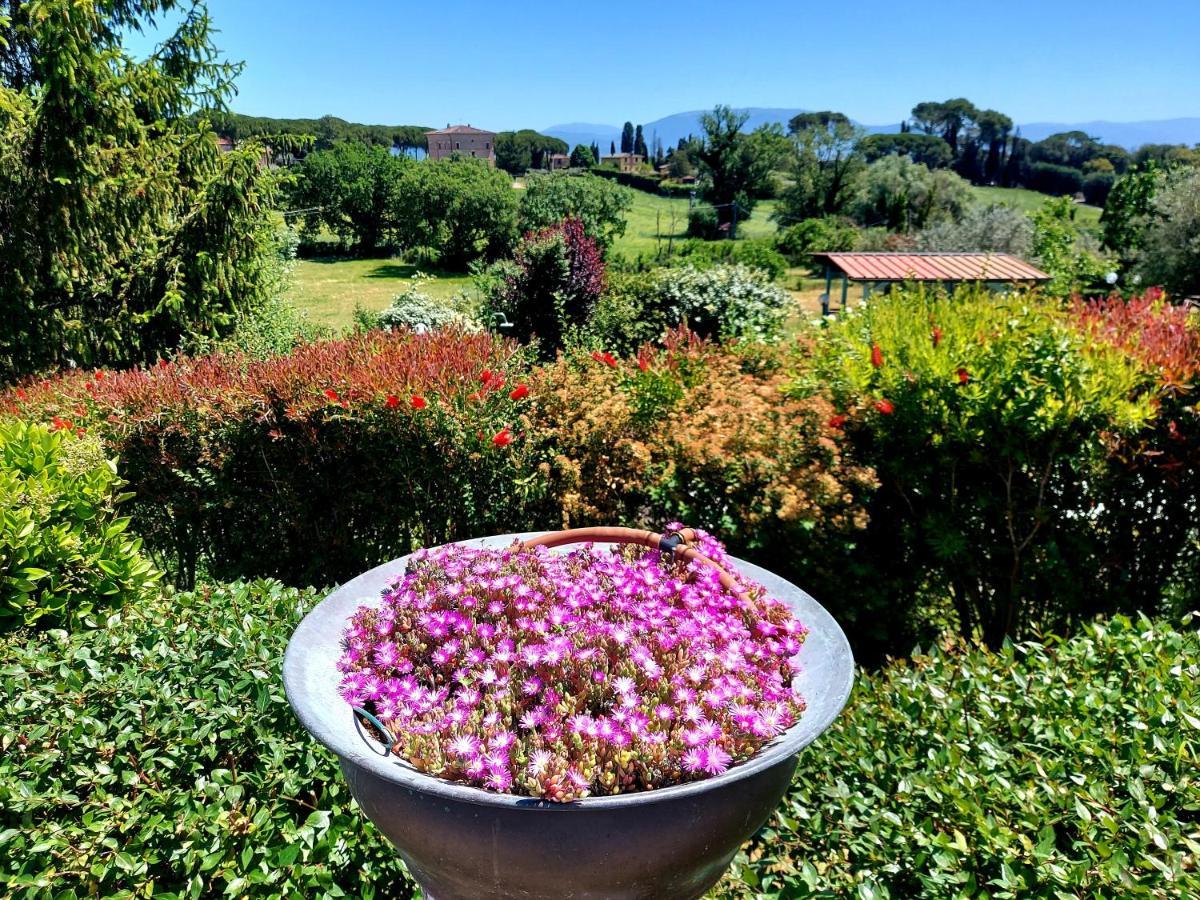 Montebello Park Hotel Perugia Exteriör bild